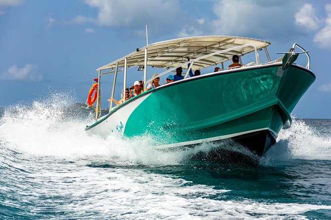 St Maarten Motorboat Cruise: Long Bay, Creole Rock and Tintamarre Island - Creole Rock Snorkeling: Wrecks, Reef Views, and Provided Gear
