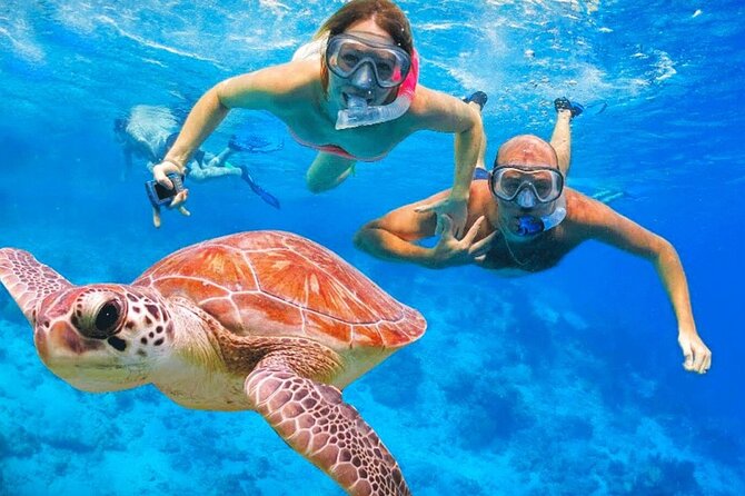 St.Maarten Nature, Hike & Snorkeling - Key things I’d bookmark before you go