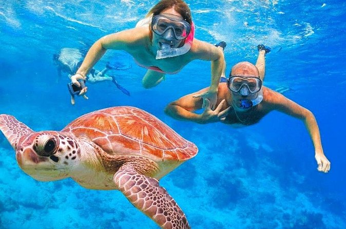 St.Maarten Nature, Hike & Snorkeling - Group size and the feel of the tour
