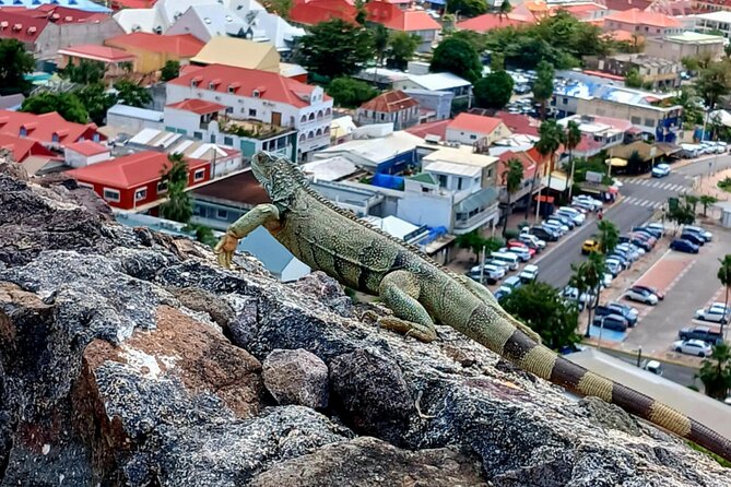 St. Maarten/Saint Martin Island Tour - Stop 2: Fort Amsterdam for Photos, Views, and Island Context