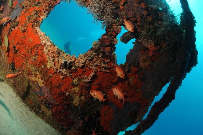 St Maarten Scuba Diving for Certified Divers - Meeting Point, Start Time, and How to Avoid a Rushed Morning