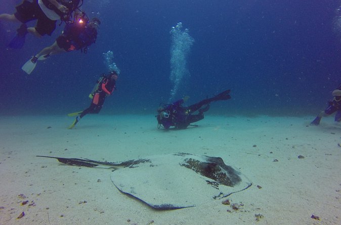 St Maarten Scuba Diving for Certified Divers - Safety, Coaching, and Why the Crew Matters (Georgina, Audrey, and Others)