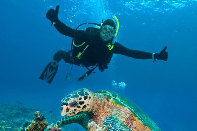 St Maarten Scuba Diving for Certified Divers - Tank One: Reef Life at Mike’s Maze and the Coral Zone
