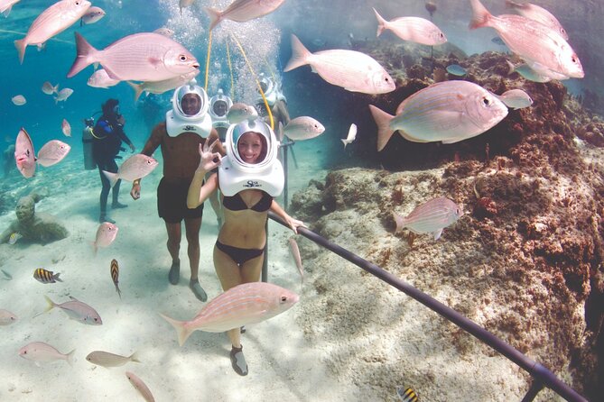 St Maarten SeaTrek and Snorkeling Adventure - Value check: is $143.10 worth it?