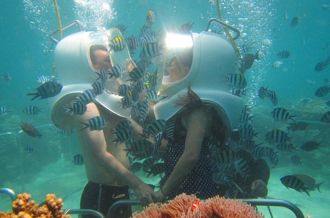 St Maarten SeaTrek and Snorkeling Adventure - Reliability and communication: what to do on a busy port day