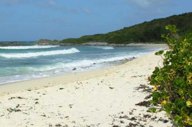 St. Martin or St. Maarten: Nature Hike Secret Beach Tour - How the Flora Lesson Changes the Whole Hike