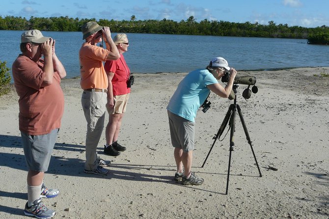 St.Martin - St.Maarten: Small Group, Birding Tour / Bird Watching Tour - Dock Maarten meeting point: the practical start to a focused morning