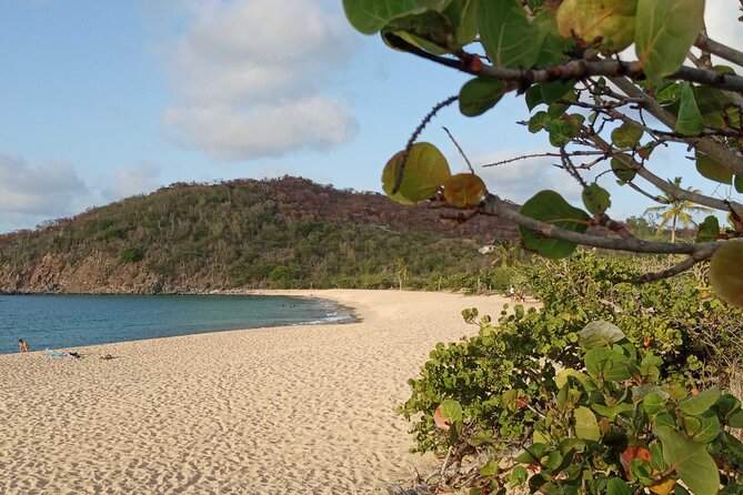 St.Martin - St. Maarten: Small Group, Coastal Hike & Swim Tour - Why start from Philipsburg so early?