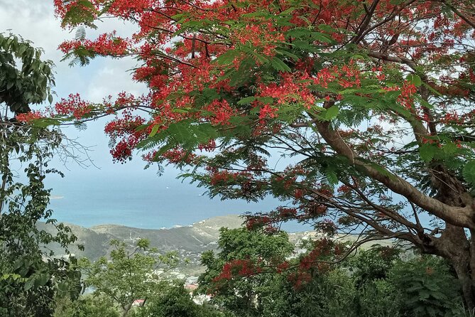 St.Martin - St. Maarten: Small Group, Coastal Hike & Swim Tour - Stop 1: Coralita Beach Nature Reserve walk (about an hour)
