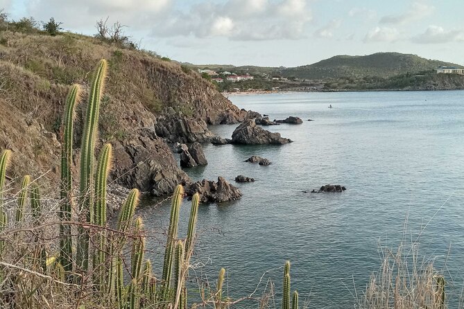 St.Martin - St. Maarten: Small Group, Coastal Hike & Swim Tour - The food and drink breaks: homemade banana bread and lemongrass tea