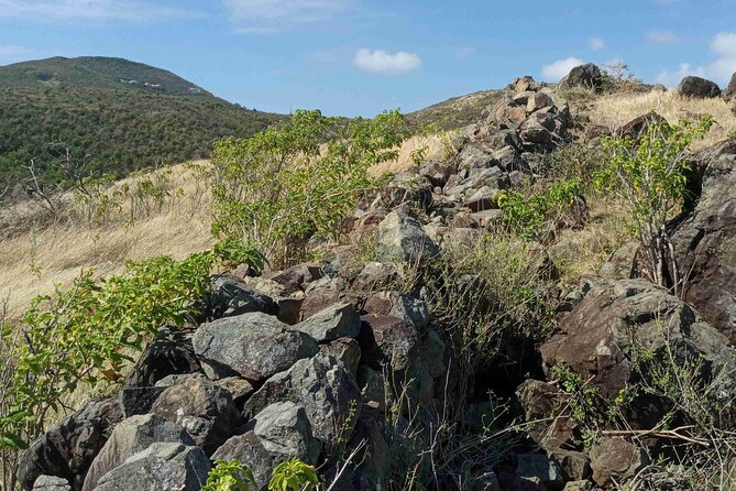 St.Martin - St. Maarten: Small Group, Coastal Hike & Swim Tour - What you’ll learn (and why the guide choice shows up)
