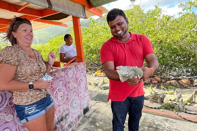 The Highlights of St Maarten Full-Day Private Vip Island Tour - Philipsburg: Dutch-side waterfront and duty-free shopping