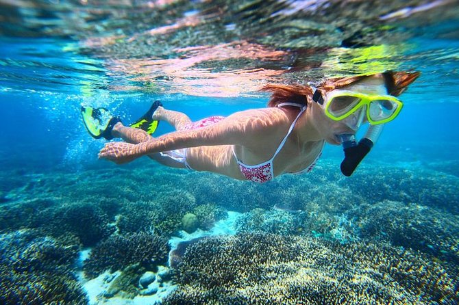 The Original Eco Tour Full-Day Around the Island of Sint Maarten - Tintamarre Island: rugged French Nature Reserve time on sand and sea