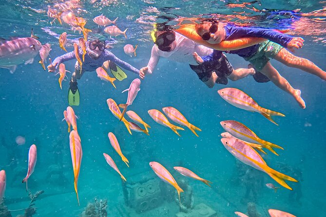 The Original Underwater Sculpture Park Snorkel Tour - Photos onboard: what you can buy and how to decide