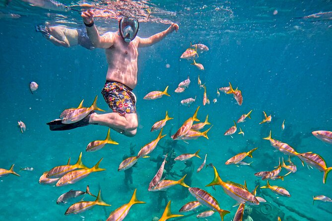 The Original Underwater Sculpture Park Snorkel Tour - Timing for cruise days: easy walking and built-in on-time focus