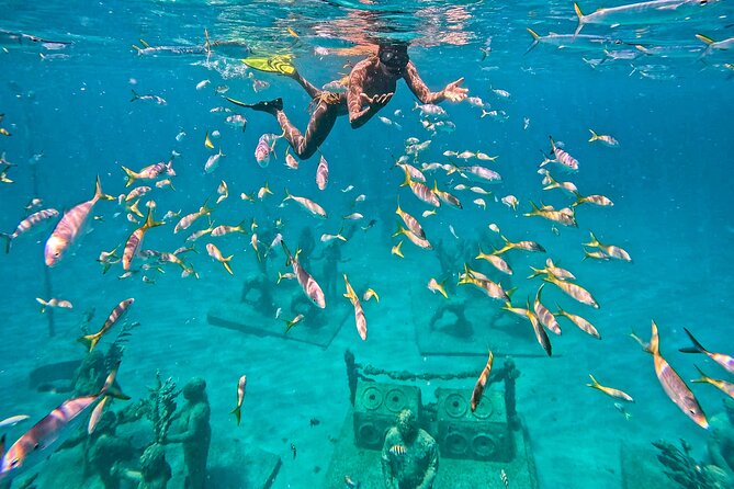 The Original Underwater Sculpture Park Snorkel Tour - Price value: why $49 makes sense for a park-run experience