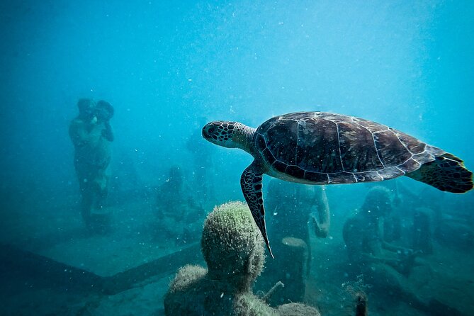 The Original Underwater Sculpture Park Snorkel Tour - First stop at Under SXM: what it’s like floating over 300 sculptures
