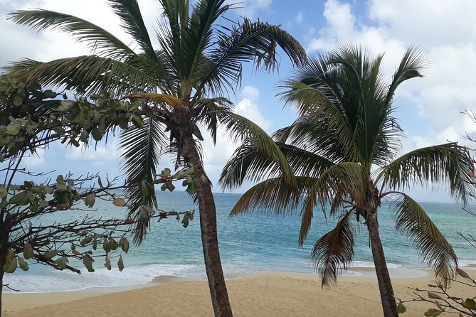 The Soul Of Pirates Boat Trip Adventure Caribbean Charter Full Day SXM - Dolphins for the lucky ones: how to manage expectations