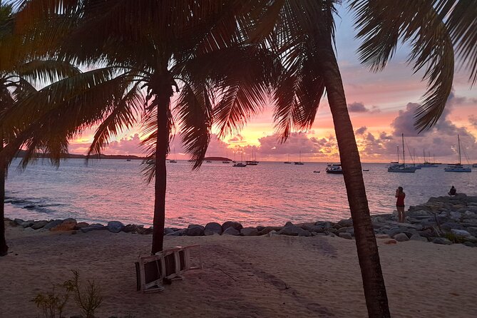 The Soul Of Pirates Boat Trip Adventure Caribbean Charter Morning / Sunset SXM - Wildlife Chances: Turtles, Dolphins, and What to Expect