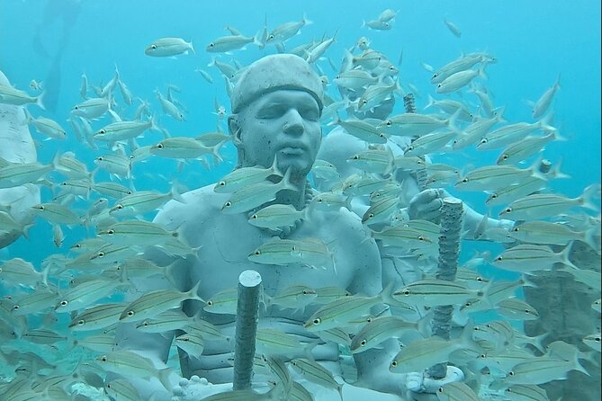Underwater Sculpture Park Snorkel Adventure - Key Things That Make This Tour Worth Your Time