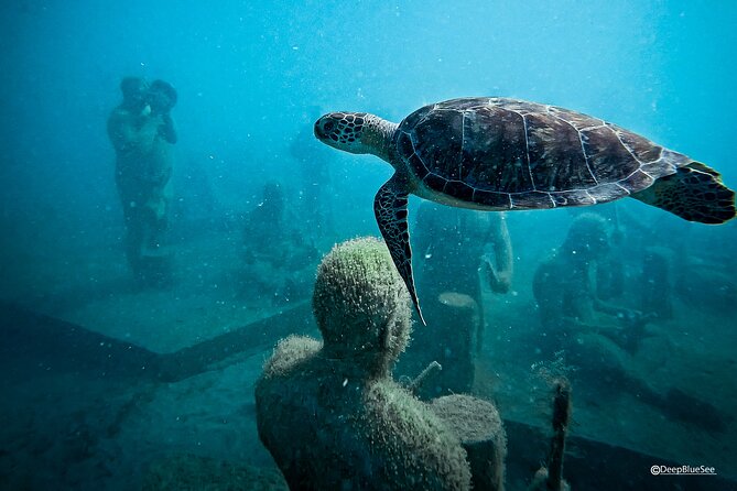 Underwater Sculpture Park Snorkel Adventure - Under SXM Sculpture Park: why the art is more than a photo stop