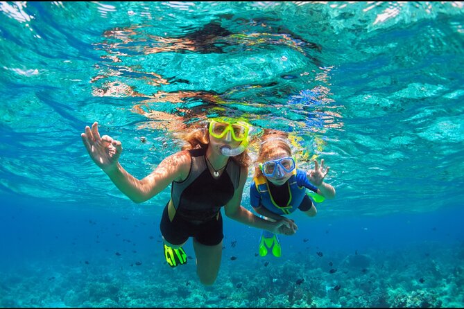 Underwater Sculpture Park Snorkel Adventure - Snorkel gear, quick instruction, and the stuff that matters once you’re afloat