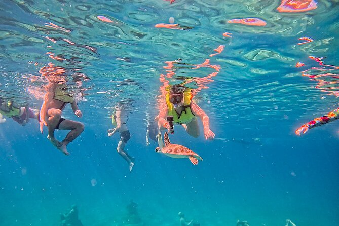 Underwater Sculpture Park Snorkel Adventure - Visibility and weather: how to time your snorkel so it looks its best