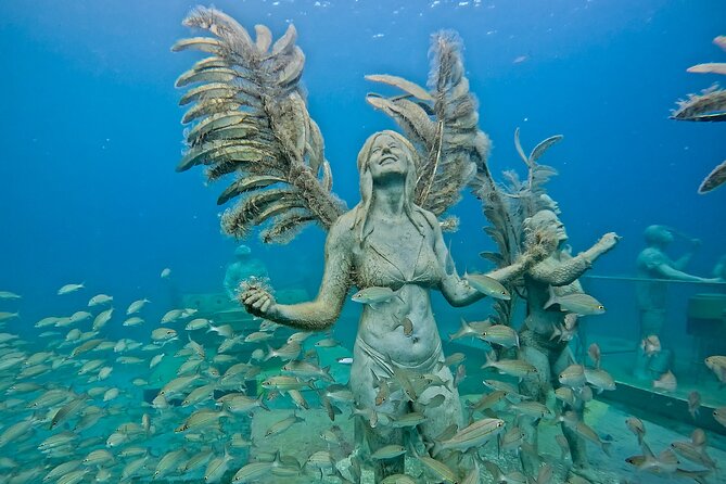 Underwater Sculpture Park Snorkel Adventure - Price and value: does $45 feel fair for what you get?