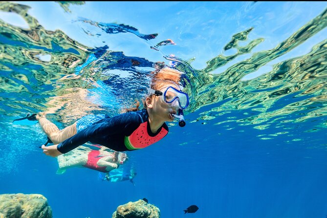 Underwater Sculpture Park Snorkel Adventure - Who this tour suits (and who might want a different plan)